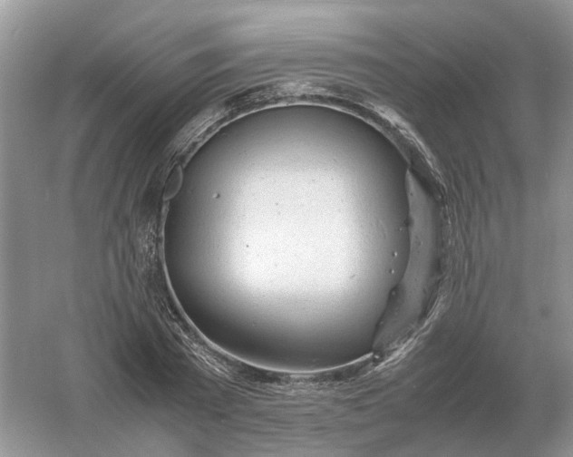 X0000061120785200512022151