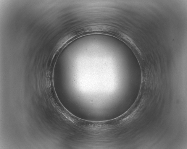 X0000061120786200512022151