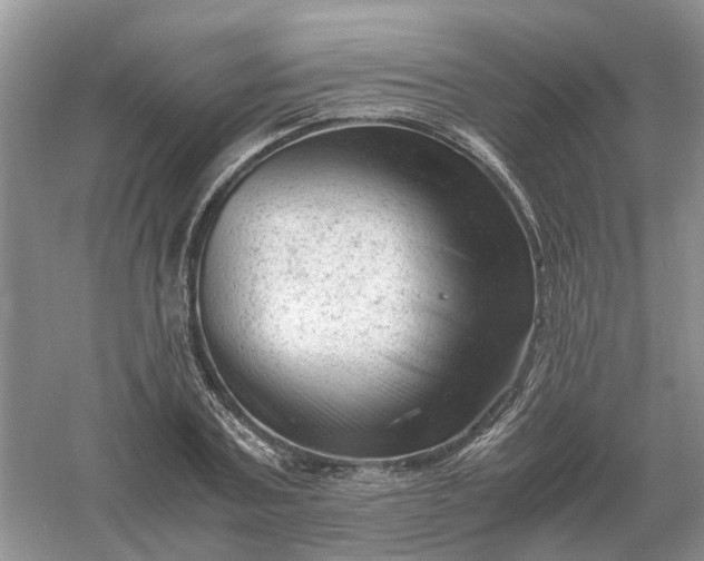 X0000061120787200512022151