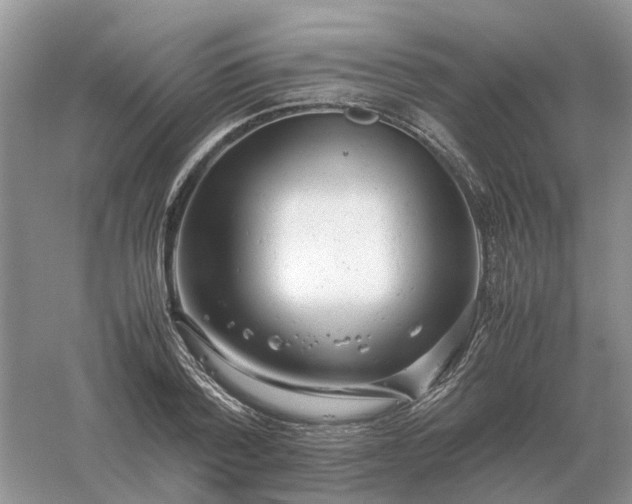 X0000061120788200512022151