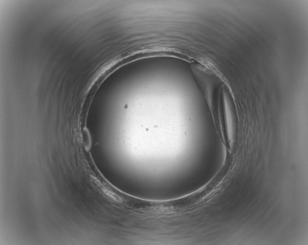 X0000061120789200512022151