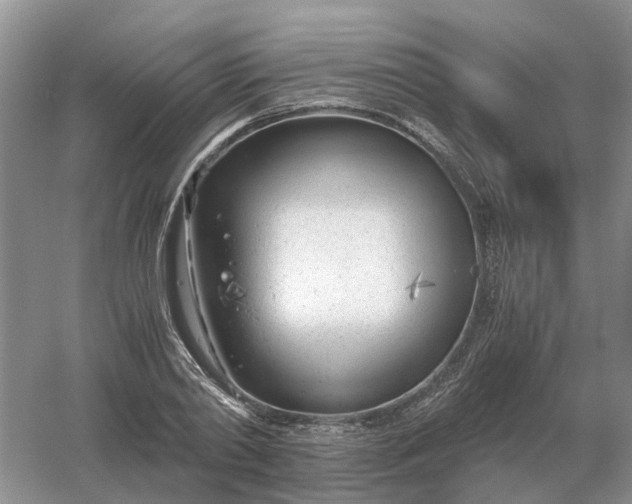 X0000061120790200512022151