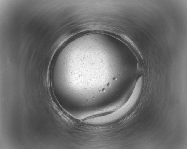 X0000061120791200512022151