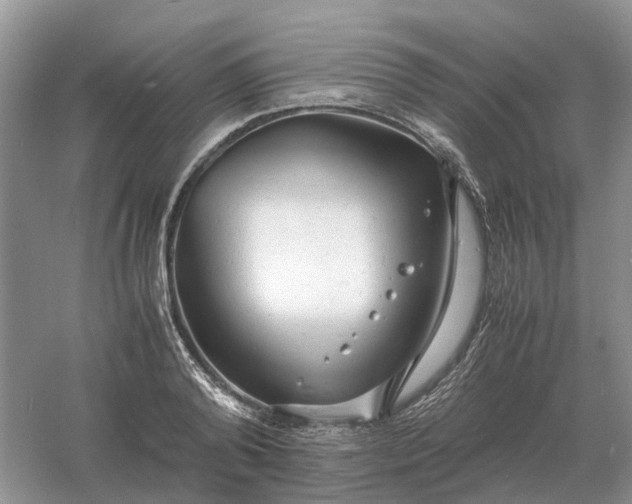 X0000061120792200512022151