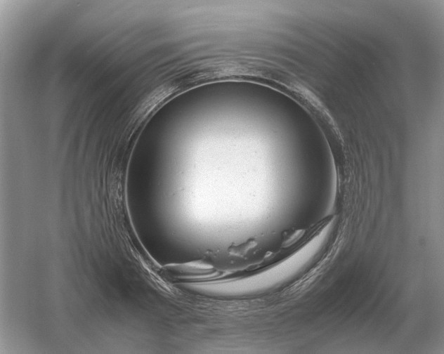 X0000061120793200512022151