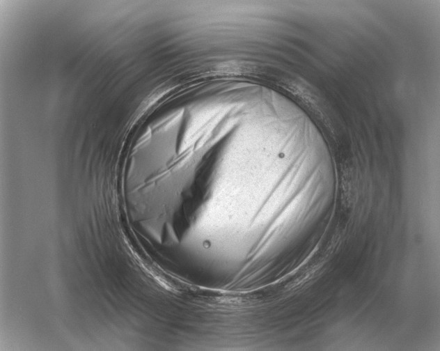 X0000061120794200512022151