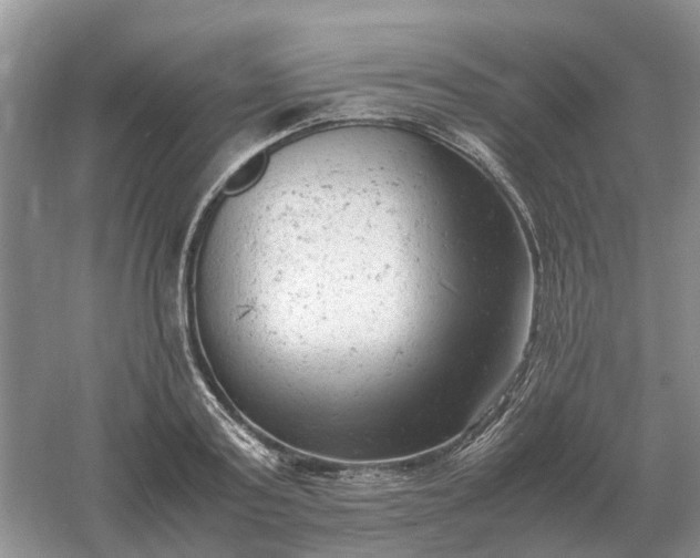 X0000061120795200512022151