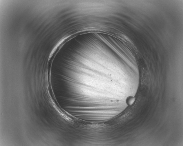 X0000061120796200512022151