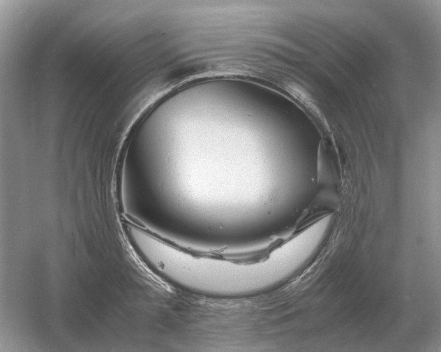 X0000061120797200512022151