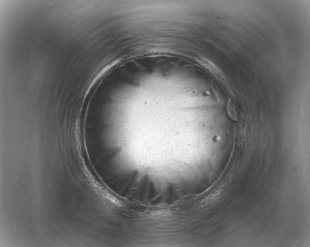 X0000061120798200512022151