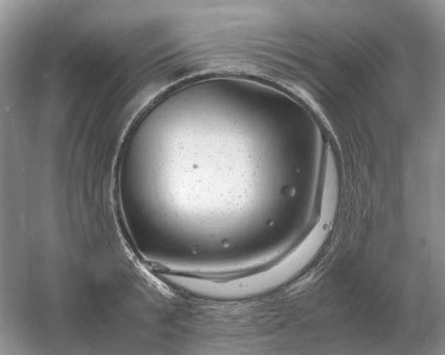 X0000061120799200512022151