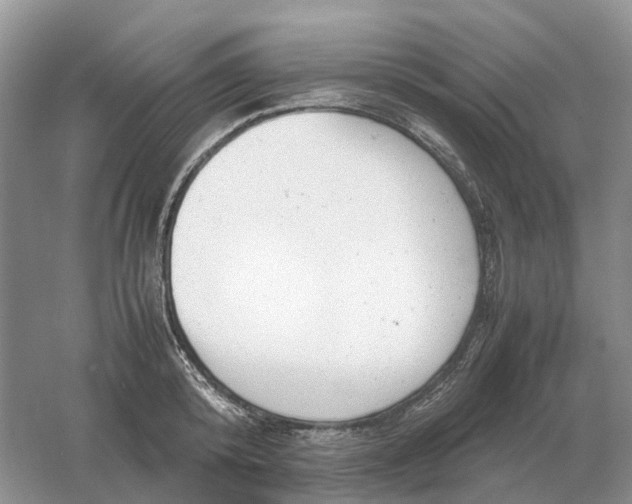 X0000061120800200512022151