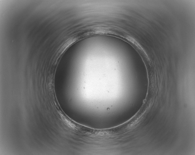 X0000061120801200512022151