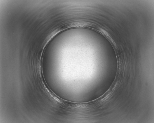 X0000061120802200512022151