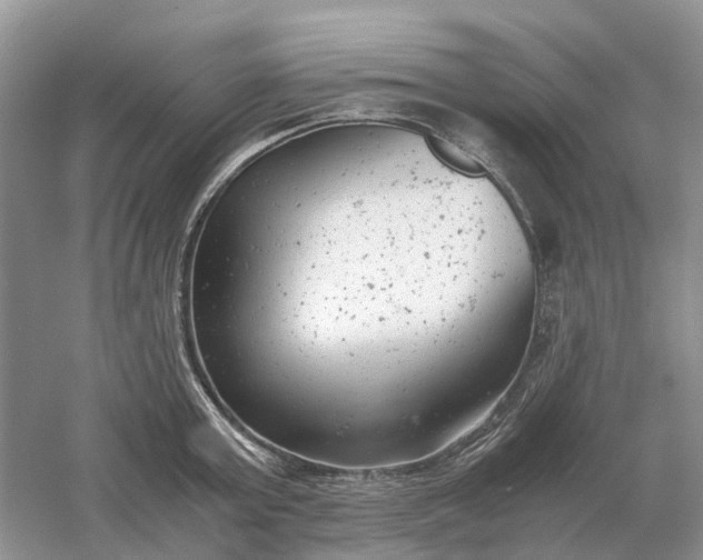 X0000061120803200512022151