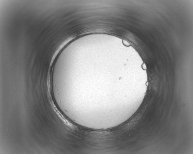 X0000061120804200512022151