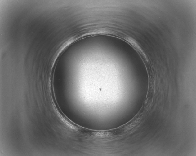 X0000061120805200512022151