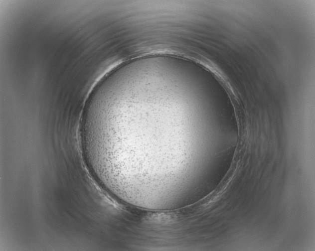 X0000061120806200512022151