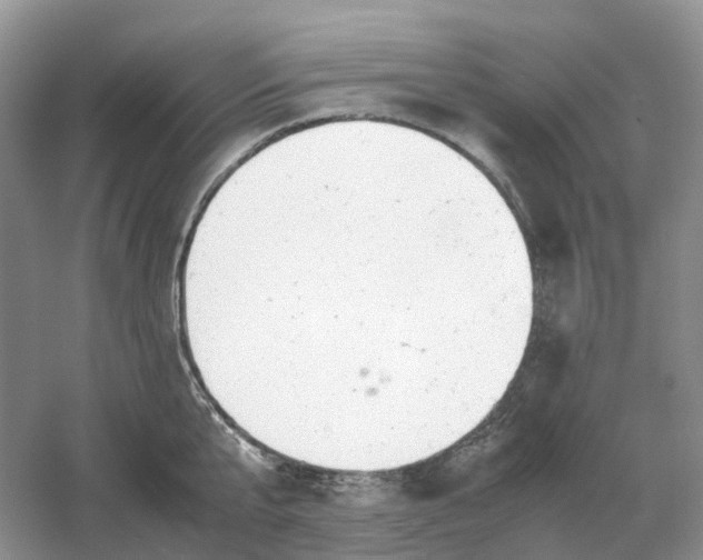 X0000061120807200512022151