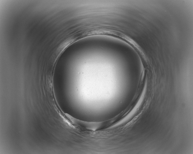 X0000061120809200512022151