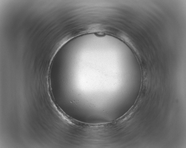 X0000061120810200512022151