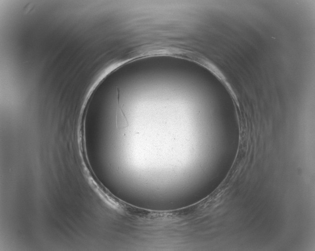 X0000061120811200512022151