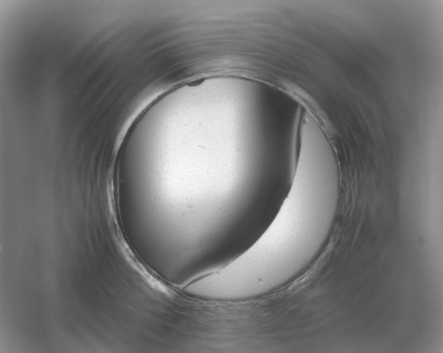 X0000061120812200512022151