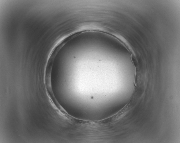 X0000061120815200512022150