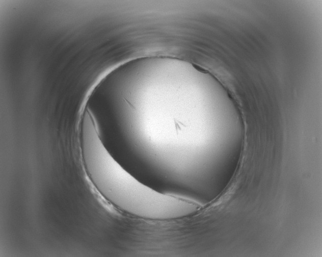 X0000061120816200512022150