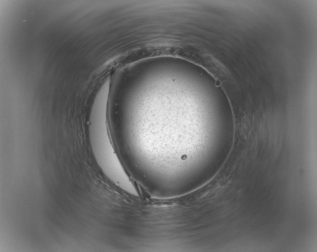 X0000061120821200512022150