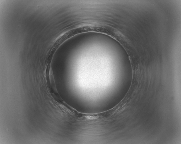 X0000061120822200512022150