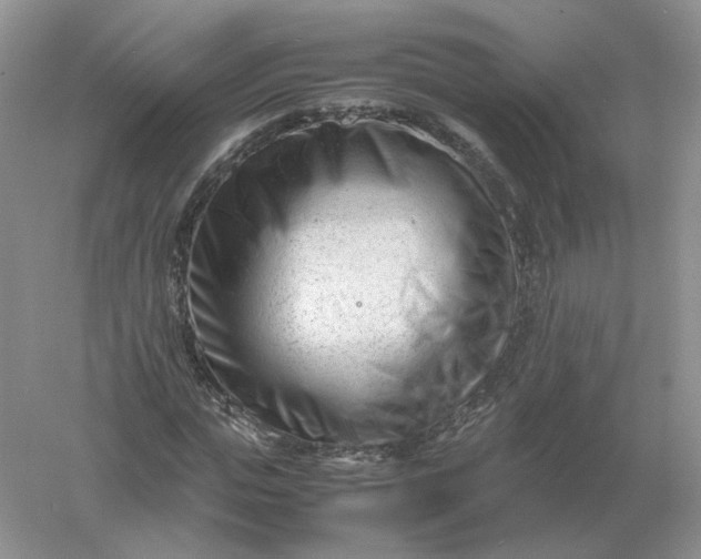 X0000061120823200512022150