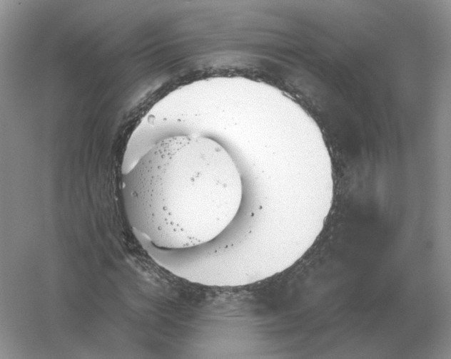 X0000061120824200512022150