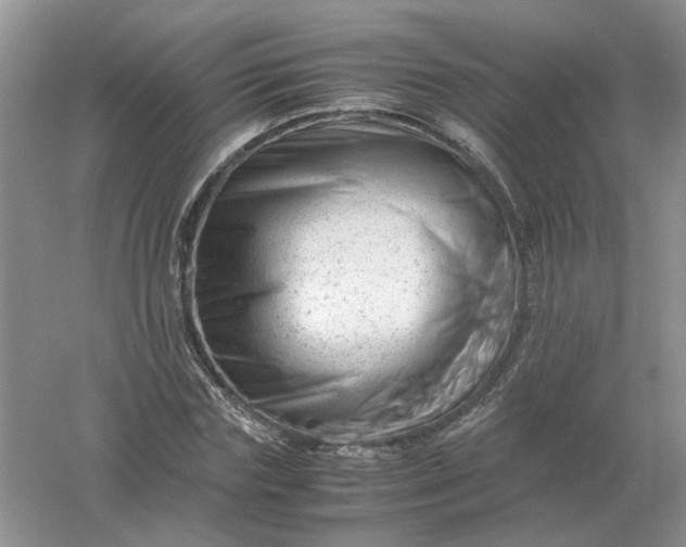 X0000061120827200512022150