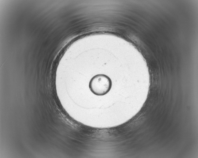 X0000061120828200512022150