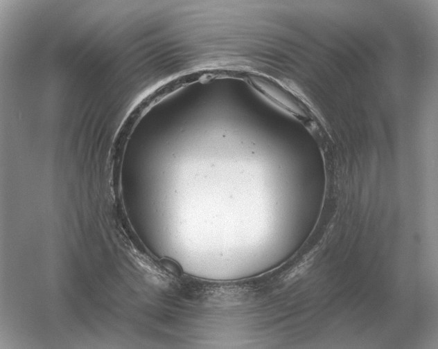 X0000061120830200512022150