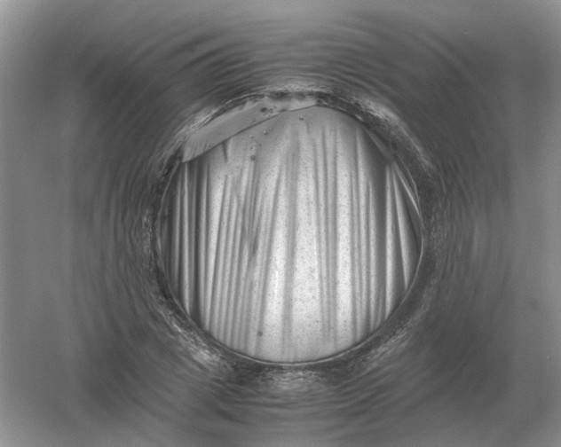 X0000061120833200512022150