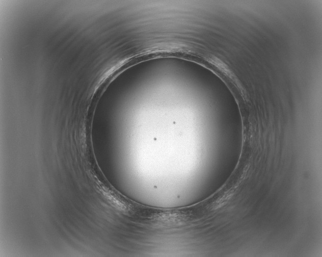 X0000061120834200512022150