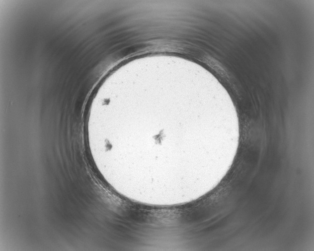 X0000061120836200512022150