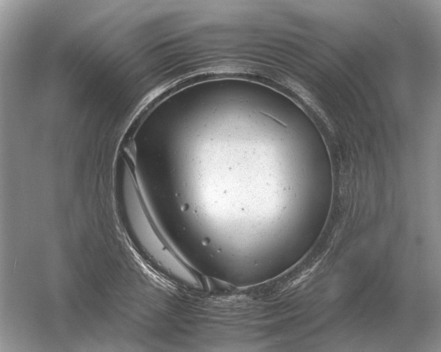 X0000061120837200512022150