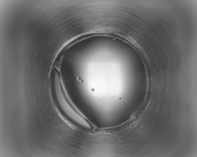 X0000061120838200512022150