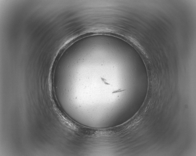 X0000061120840200512022150