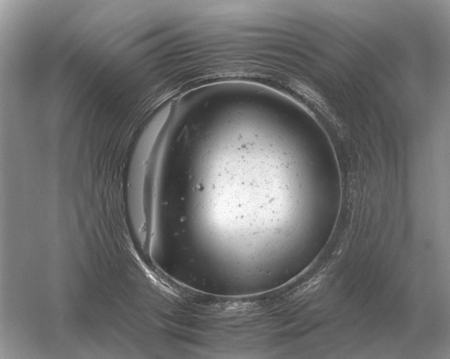 X0000061120841200512022150