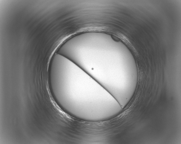 X0000061120844200512022150