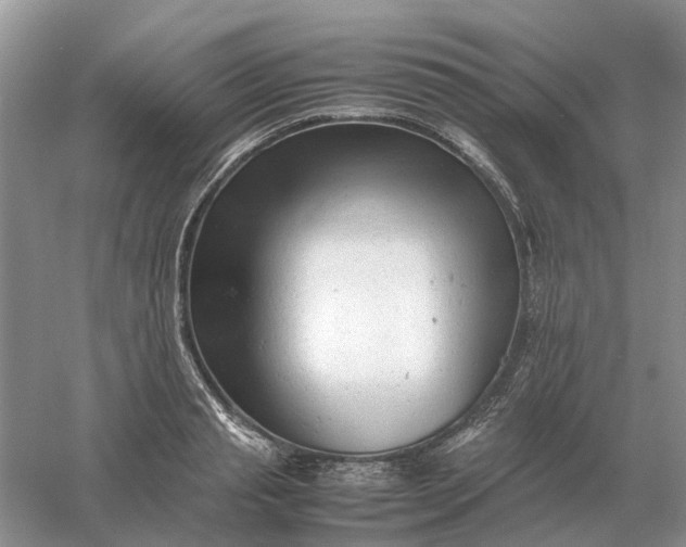 X0000061120845200512022150