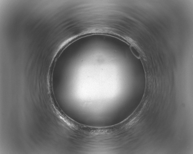 X0000061120846200512022150