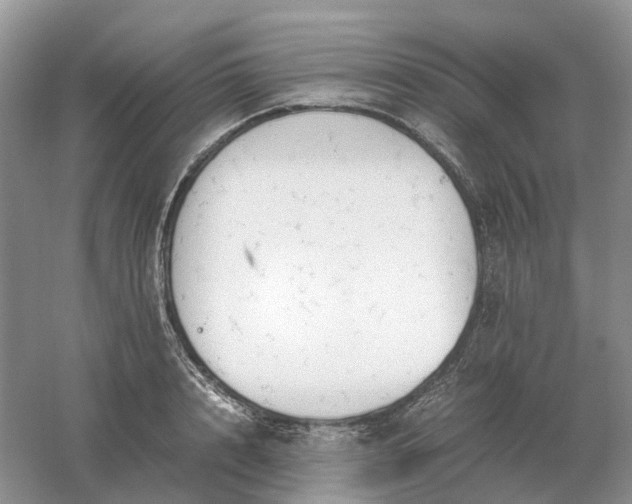 X0000061120848200512022150