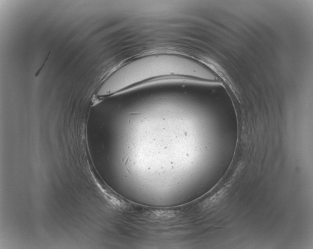 X0000061120849200512022150