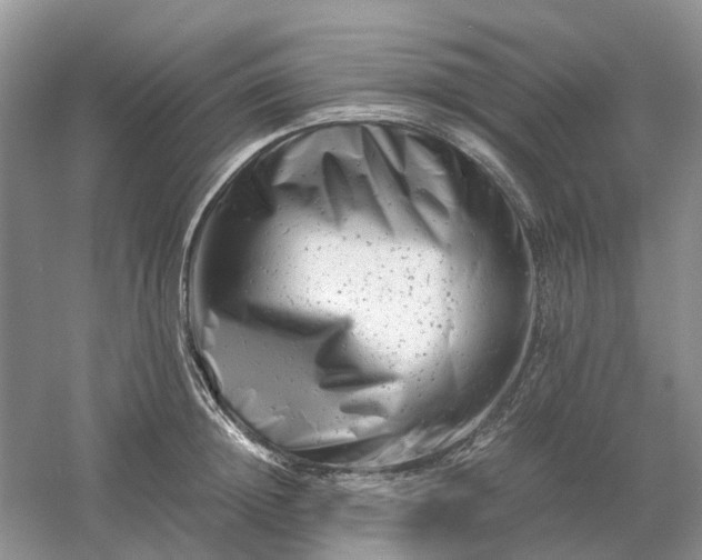 X0000061120852200512022150