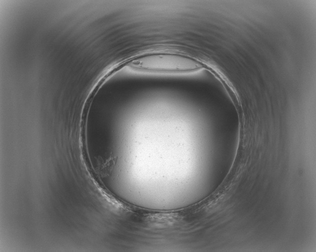 X0000061120853200512022150